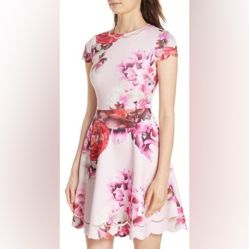 Ted Baker Size 1 Seeana Splendori Pink Floral Fit & Flare Skater Dress